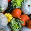 zucche colorate e broccolo romanesco - spesa autunnale